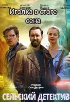 Сельский детектив 3: Иголка в стоге сена (2020) постер