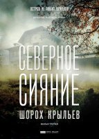 Северное сияние. Шорох крыльев (2019) постер