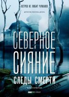 Северное сияние. Следы смерти (2019) постер