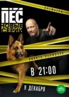 Пес 4 сезон (2019) постер