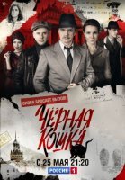 Черная кошка (2016) постер