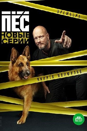 Пес 6 сезон (2020) постер