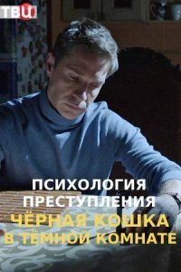 Психология преступления 3: Черная кошка в темной комнате (2021) постер