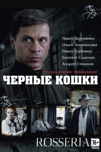 Чёрные кошки (2013) постер