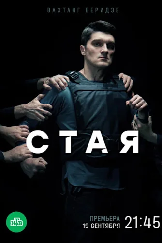 Стая (2022) постер