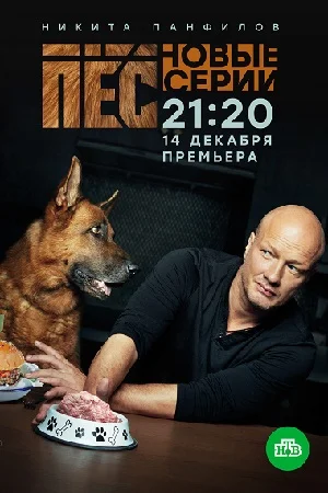 Пес 5 сезон (2020) смотреть онлайн