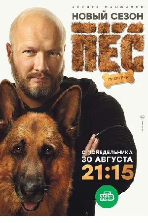 Пес 6 сезон (2020) смотреть онлайн